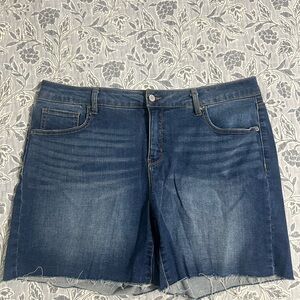 Time and Tru Classic Blue Denim Shorts
